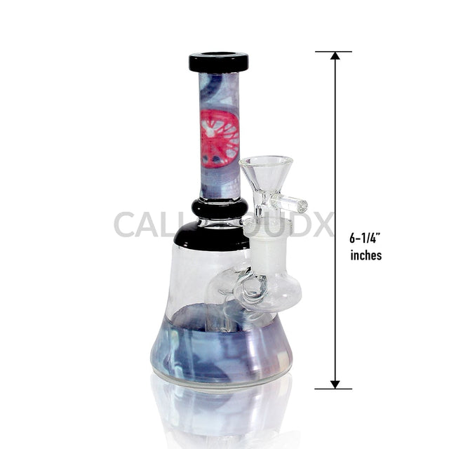 6’ Mini Water Pipe | Rig